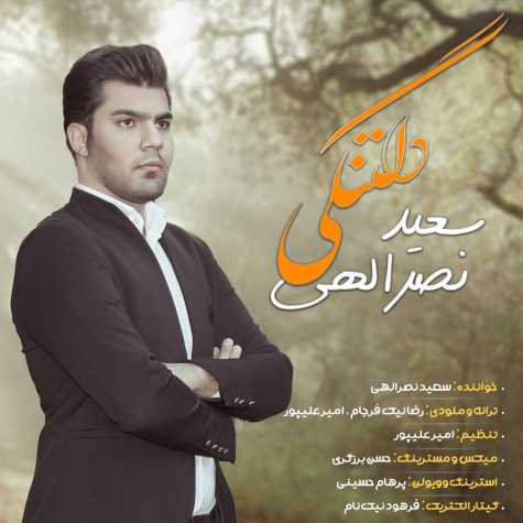 دانلود آهنگ دلتنگی از سعید نصرالهی
