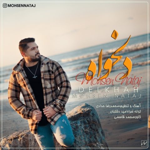 دانلود آهنگ محسن نتاج دلخواه دانلود آهنگ محسن نتاج دلخواه