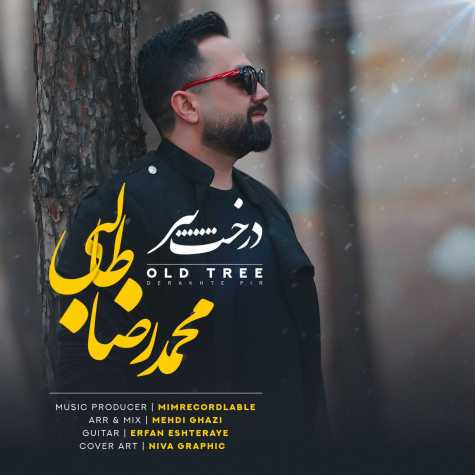 دانلود آهنگ محمدرضا طالبی درخت پیر دانلود آهنگ محمدرضا طالبی درخت پیر