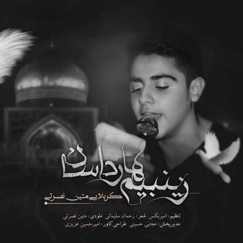 دانلود آهنگ متین نصرتی زینبیم هارداسان دانلود آهنگ متین نصرتی زینبیم هارداسان